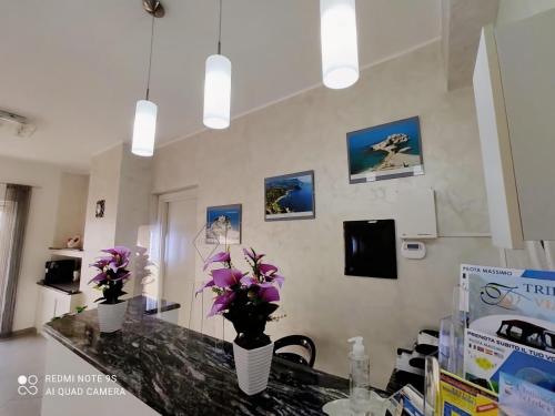 B&B Le Ninfe - Accommodation - Santa Domenica