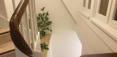 Zwei Etagen Wohnung im Grünen, Берлин (фото 6)