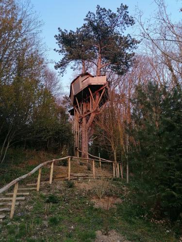 Sherwood Tree - Chambre d'hôtes - Étretat