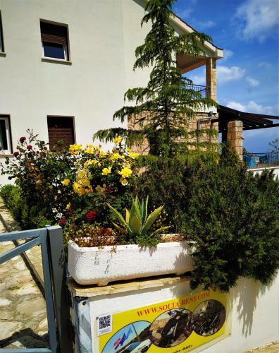 Apartments Kaić - image 9