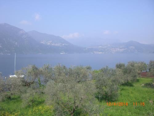 Direttamente Al lago
