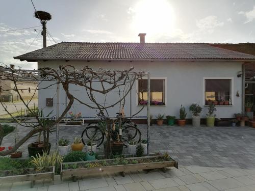 ทัศนียภาพภายนอกโรงแรม, Bela golobica Bogojina in โมราฟสเกโทพลิซ