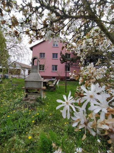 Ferienhaus Günter - Forchtenberg