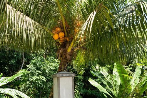 بيت ضيافة جينز سيرينتي بيت ضيافة جينز سيرينتي