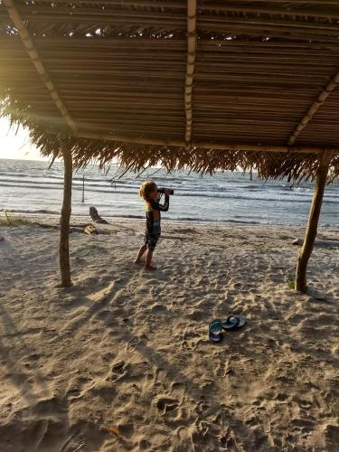 Beach, Urantia Beach Hostel & Surf Camp in San Onofre