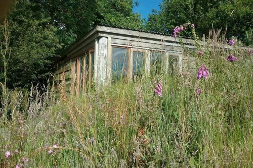 FoxesDen, Unique Eco Cabin, Dartmoor views - South Brent