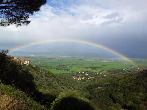 Locanda Mossa Dei Barbari