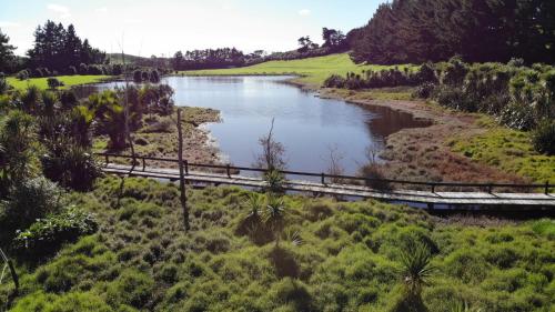Tara at Tahi - cosy cottage surrounded by nature, Whangarei (fotografie 9)