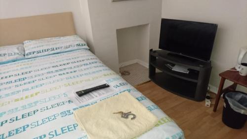 Room in Guest room - Family Room Sleeps 3 with 1 double and 1 single bed Ground Floor Private shower - image 6