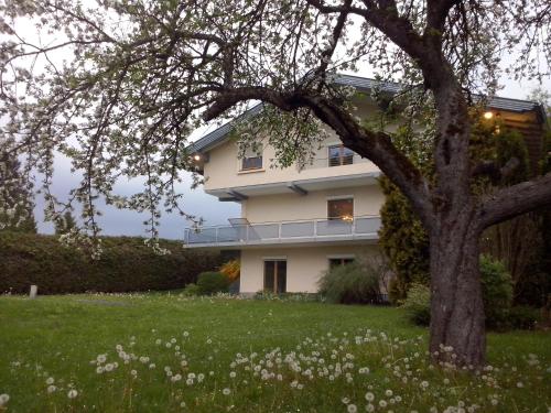 Villa Viola 3