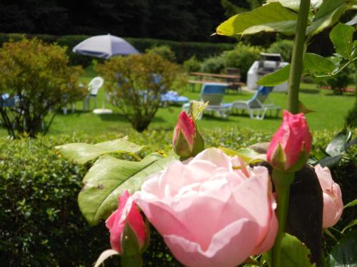 Aparthotel Alpenpark - main image