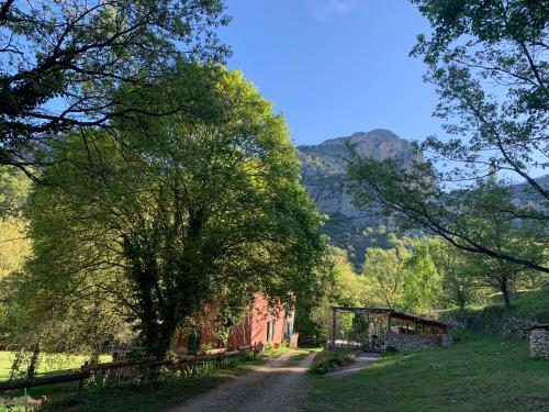 Bergerie de charme à Moustiers - Moustiers-Sainte-Marie