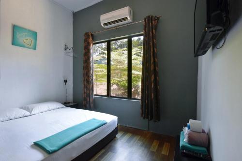 Green Peace Sungai Lembing in Sungai Lembing