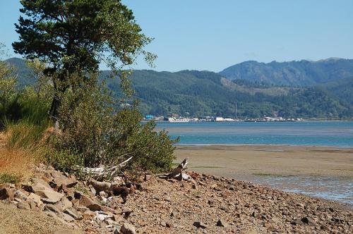 Sheltered Nook On Tillamook Bay