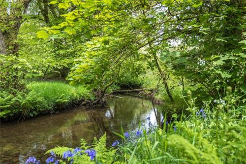 Pembrokeshire Yurts - Badger in Tegryn