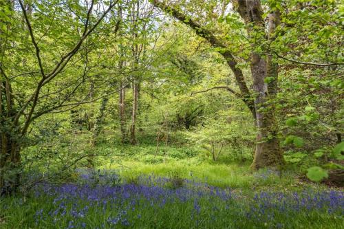 Pembrokeshire Yurts - Badger in Tegryn