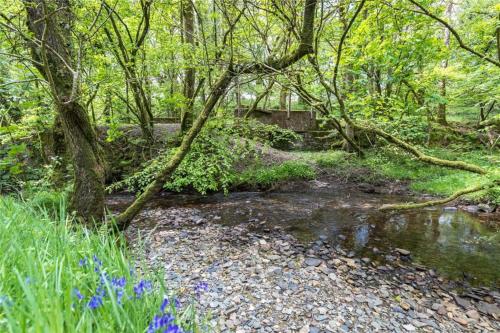 Pembrokeshire Yurts - Badger 5