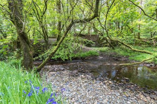 Pembrokeshire Yurts - Badger