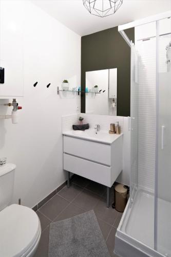 LE RIQUET 204 - Hypercentre - Gare, Tolosa (foto 6)
