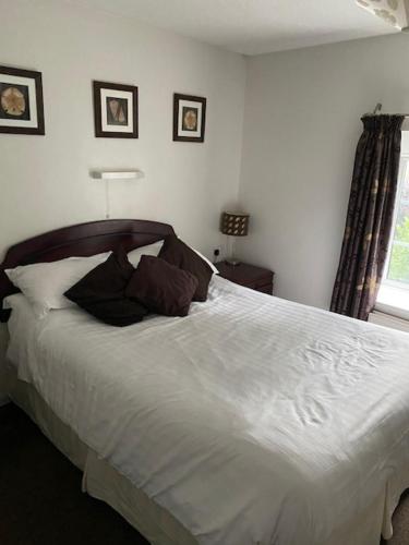 Thelbridge Cross Inn - image 12