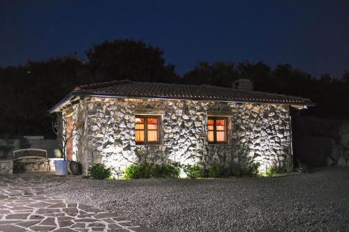 *****Pool house with beautiful seaview,big garden and old tavern*****, Rijeka (fotografie 8)
