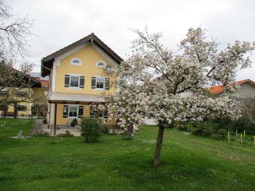 Ferienhaus Mühlfeldner - Laufen