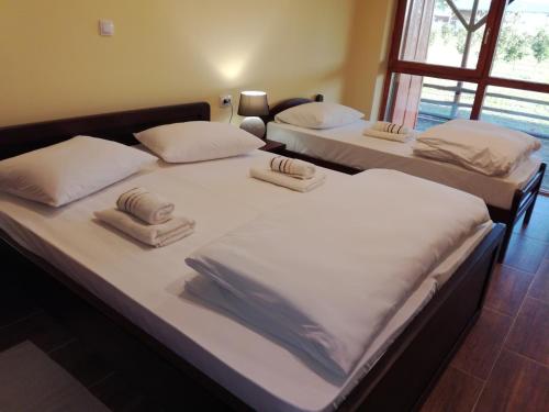 Létesítmények, Camp Salaš Farma 47 Čenej (Camp Salas Farma 47 Cenej) in Čenej