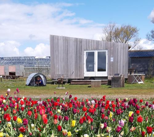 Tiny House de Strandwal