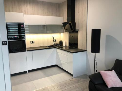 Apartament Plaza Premium in Slupca