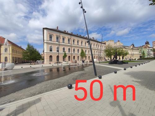 المنطقة المحيطة, Kossuth Garden in Debrecen Downtown