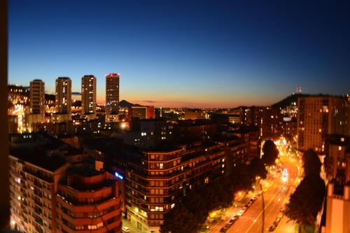 Superviews y parking vigilado en habitación independiente, baño privado, en apartamento particular, Français&English, Bilbao