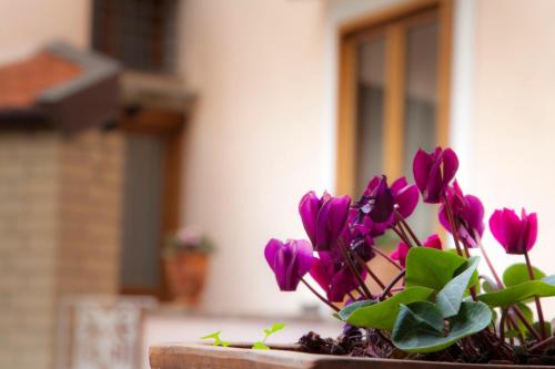 B&B Corte Catalana – Marigliano, CO