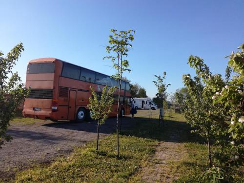 Kamp Salaš Farma 47 Čenej - image 3