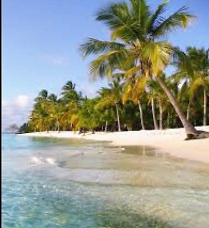 해변, Desarrollo Turístico Punta Brava Tucacas Morrocoy (Desarrollo Turistico Punta Brava Tucacas Morrocoy) in 투카카스
