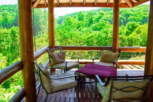 皮尼亚尔维尼亚斯旅馆