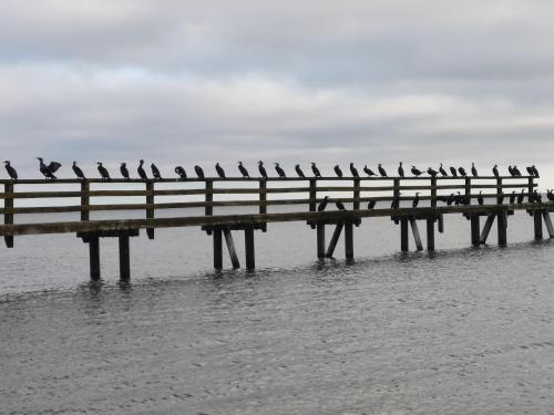 7017 - Wohnung "Küstenperle" (7017 - Wohnung "Kustenperle") in Ντάχμε