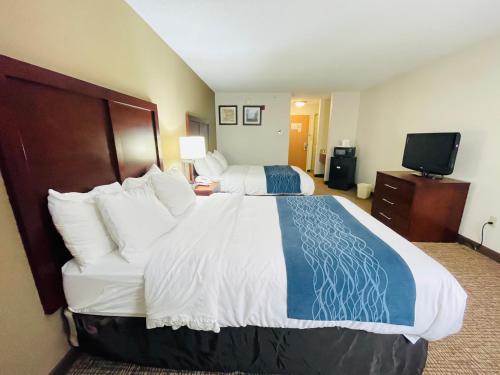 Comfort Inn Downtown - University Area