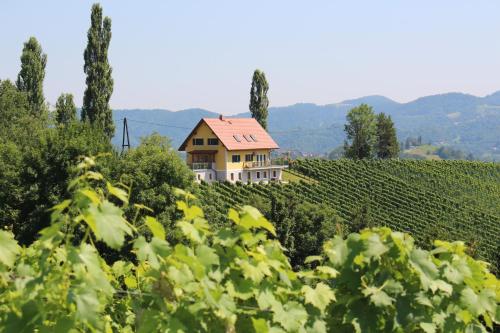 Ferienwohnung FELLNER - Apartment - Leutschach an der Weinstraße