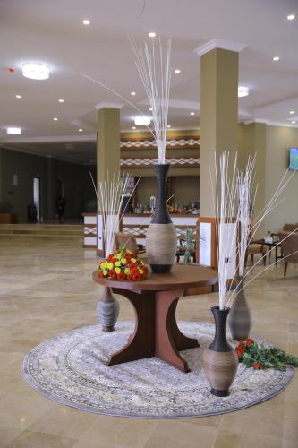 Vestíbulo, Haile Resort Adama in Adama