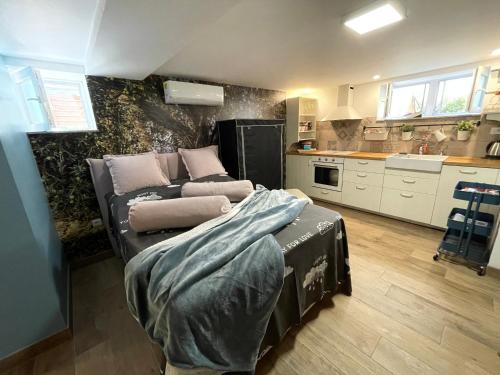 Studio apartman Pod Room