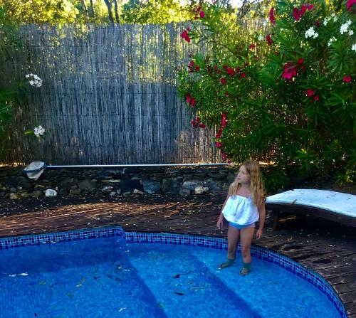 Le mas de la foret gîte à louer Les Guiols