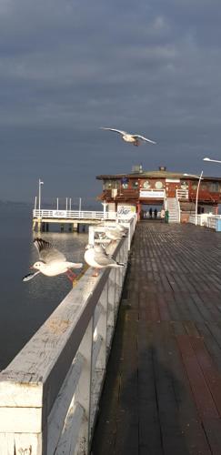 Apartament Dwa kroki do zatoki