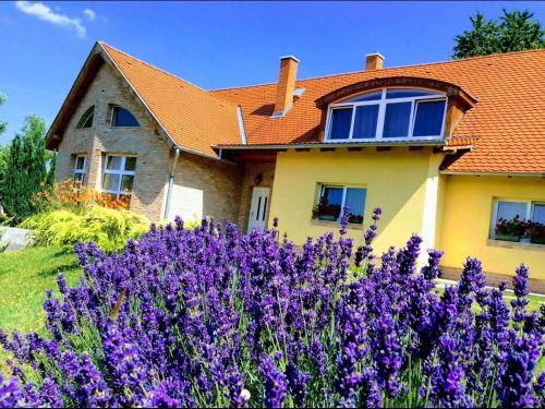 Rooms for Rent near Budapest 