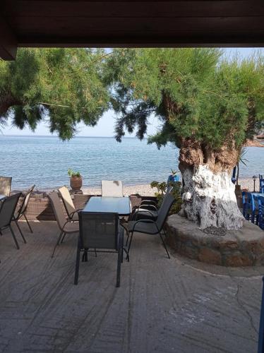 Beachfront Apartment Kato Zakros 3