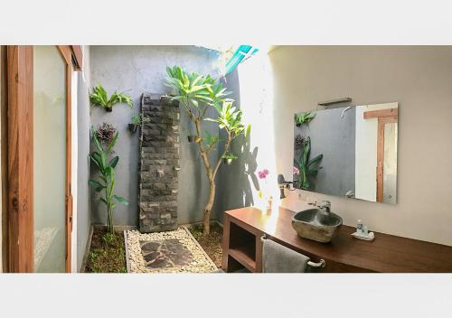 Villa Manayasa – Lovina Beach, CO