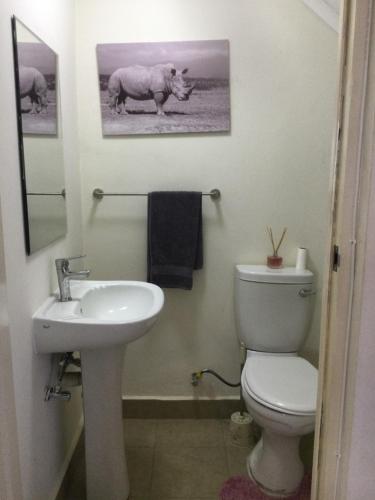 Comfortable Apartment near Foxdale court