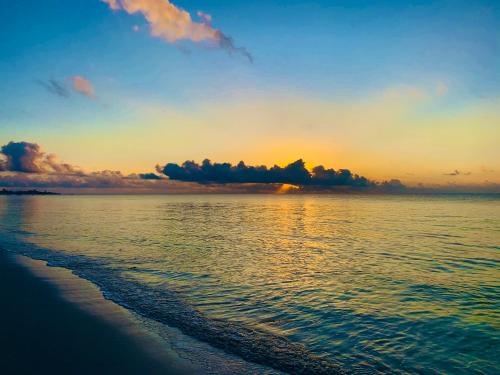 Strand, A Rocha Eco-Lodge & Conservation Centre in Watamu