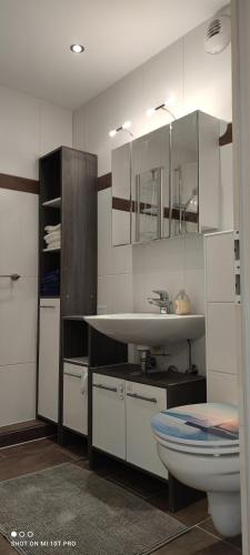 Bathroom, Uber den Wolken und super zentral zwischen Frankfurt und Darmstadt - 100qm in Langen (Hessen)