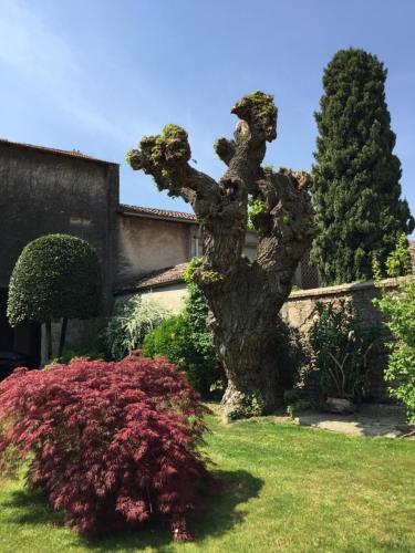 DIMORA DESENZANI - Lago di Garda