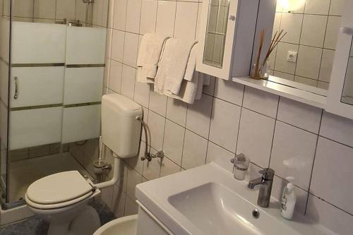 Apartments with WiFi Rovinj - 15084